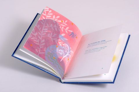 InsideView 5