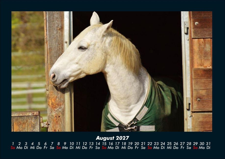 InsideView 12