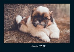 Cover-Bild zum Titel 'Hunde 2027 Fotokalender DIN A4' von 'Tobias Schmitt, Kevin Heber'