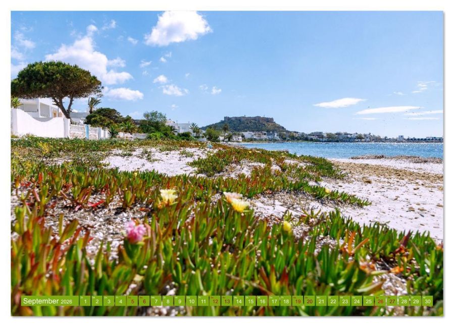 InsideView 13