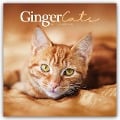 Ginger Cats - Rothaarige Katzen 2025 - Wand-Kalender - Carousel Calendar