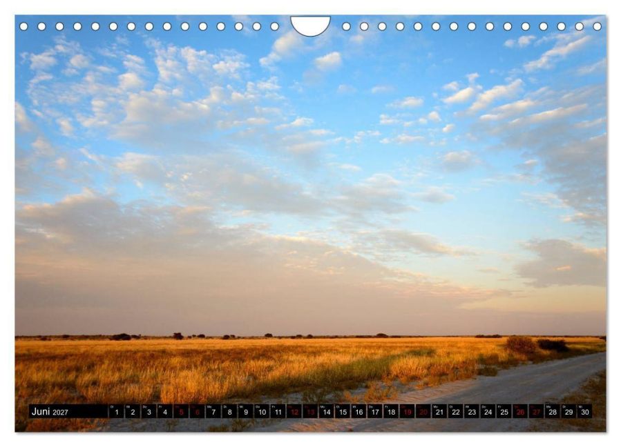 InsideView 11