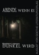 Cover-Bild zum Titel 'Abends, wenn es dunkel wird' von 'Magdalena Ludemann'