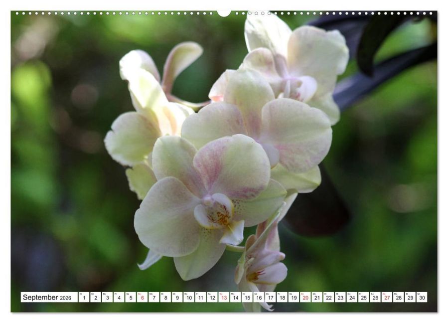 InsideView 14