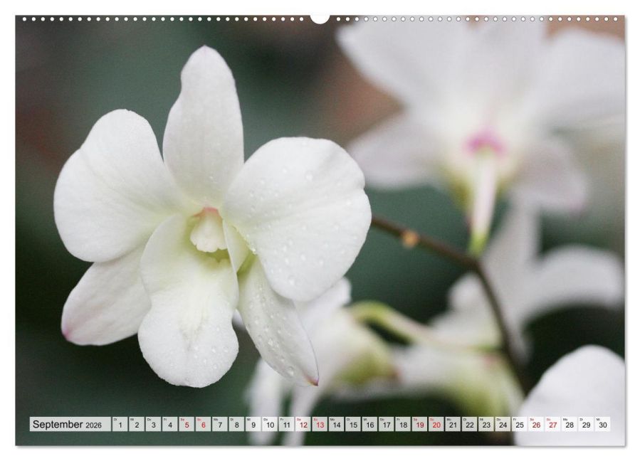 InsideView 14