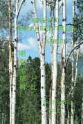 Cover-Bild zum Titel 'SINGING FOR EARTH TREES' von 'Shi Bi'