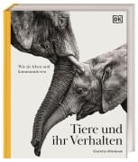 Cover-Bild zum Titel 'Tiere und ihr Verhalten' von 'Frances Dipper, Douglas Palmer, Richard Beatty, Andy Wakefield, Marianne Taylor'