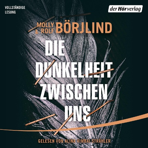 Die Dunkelheit zwischen uns - Molly Börjlind, Rolf Börjlind