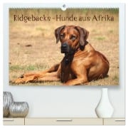 Ridgebacks - Hunde aus Afrika (hochwertiger Premium Wandkalender 2026 DIN A2 quer), Kunstdruck in Hochglanz - Birgit Bodsch