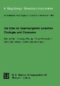 Cover-Bild zum Titel 'Die Elbe im Spannungsfeld zwischen Ökologie und Ökonomie' von ''