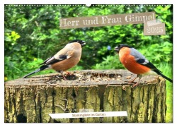 Herr und Frau Gimpel - Stammgäste im Garten (Wandkalender 2025 DIN A2 quer), CALVENDO Monatskalender - Henning von Löwis of Menar