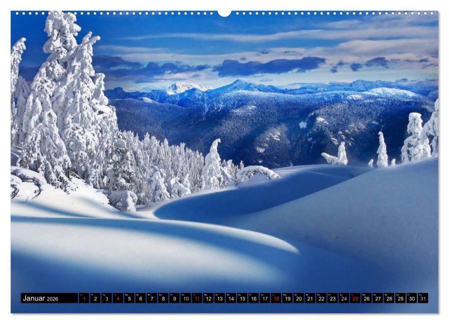 InsideView 6