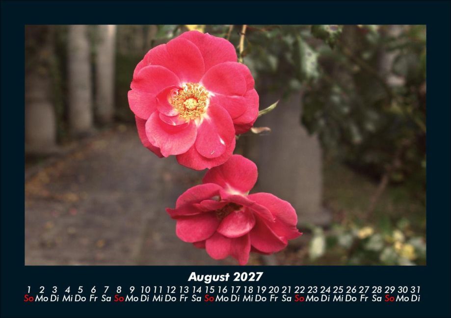 InsideView 12