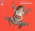 Cover-Bild zum Titel 'Never Trust A Hippy' von 'Adrian Sherwood'
