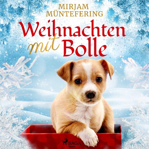 Weihnachten mit Bolle - Mirjam Müntefering