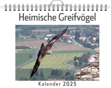Cover-Bild zum Titel 'Heimische Greifvögel' von 'Ava Krüger'