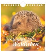 Cover-Bild zum Titel 'Geheimnisvolles Waldleben 2027' von ''