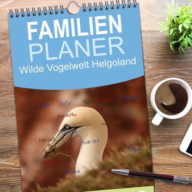 InsideView 1