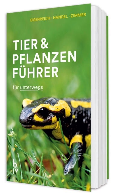 Der BLV Tier & Pflanzenführer - Wilhelm Eisenreich, Alfred Handel, Ute E. Zimmer