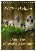 PON-Welpen - jeder Tag ein großes Abenteuer / Planer (Tischkalender 2025 DIN A5 hoch), CALVENDO Monatskalender - Peter Roder