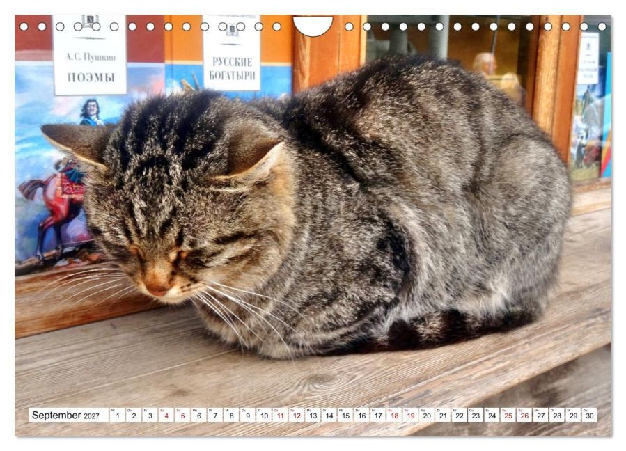 InsideView 14