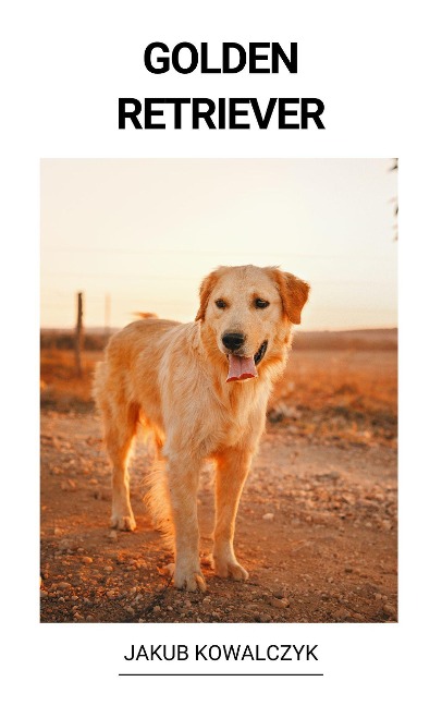 Golden Retriever - Jakub Kowalczyk