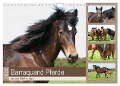 Barraquand Pferde - seltene Südfranzosen (Wandkalender 2024 DIN A4 quer), CALVENDO Monatskalender - Meike Bölts