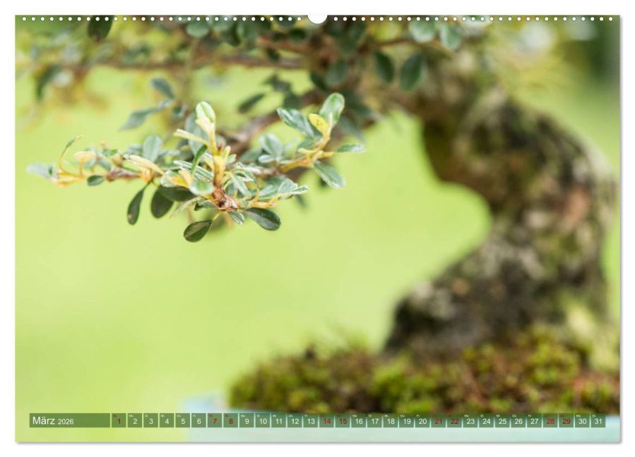 InsideView 8
