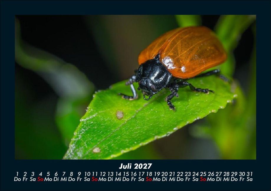 InsideView 11