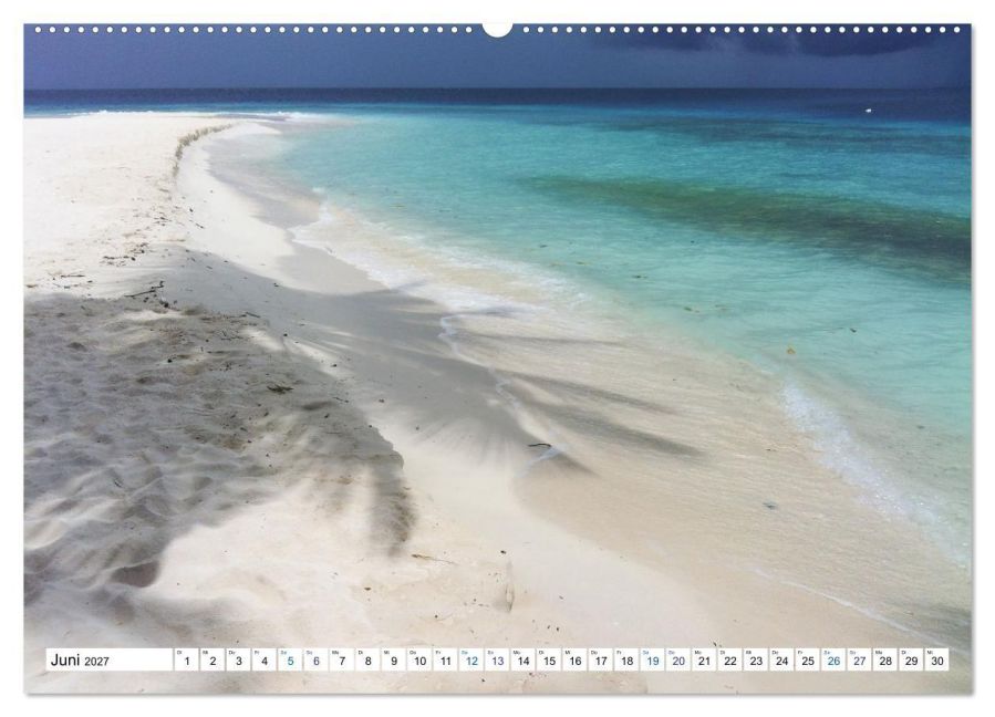 InsideView 11