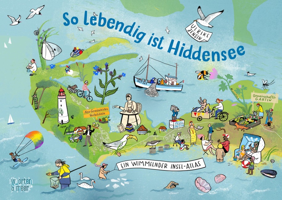 So lebendig ist Hiddensee! - 