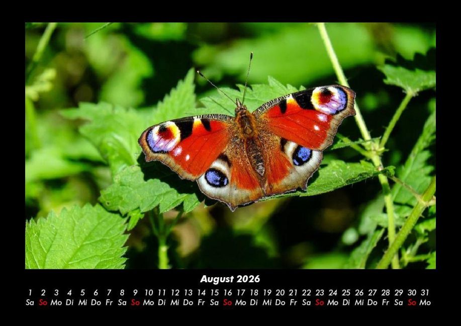 InsideView 12