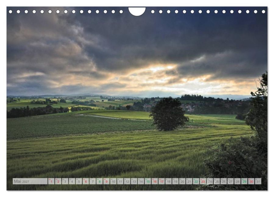InsideView 10