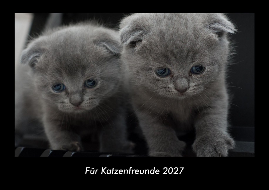 Für Katzenfreunde 2027 Fotokalender DIN A3 - Tobias Becker