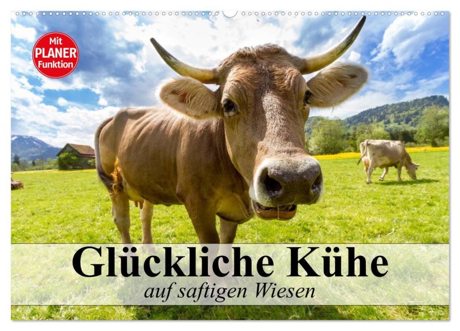 Glückliche Kühe auf saftigen Wiesen (Wandkalender 2025 DIN A2 quer), CALVENDO Monatskalender - Elisabeth Stanzer