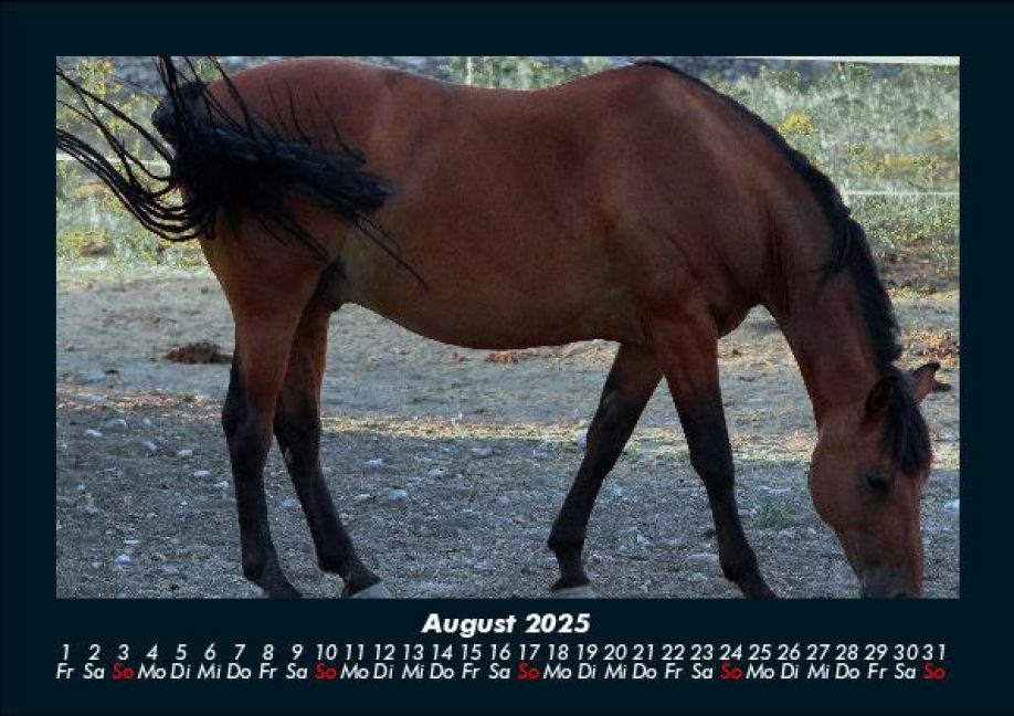 InsideView 12