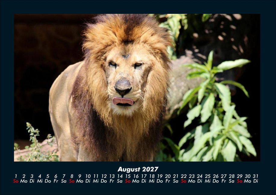 InsideView 12