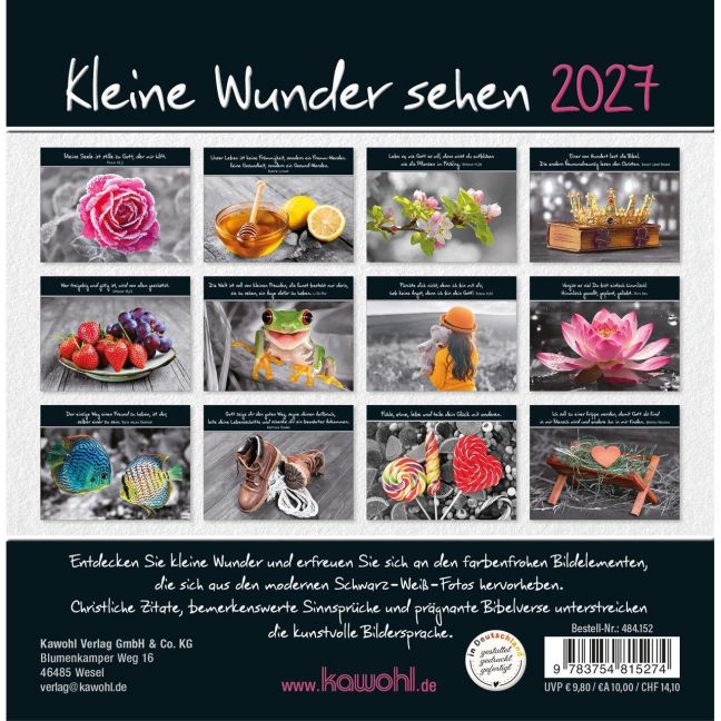 InsideView 13