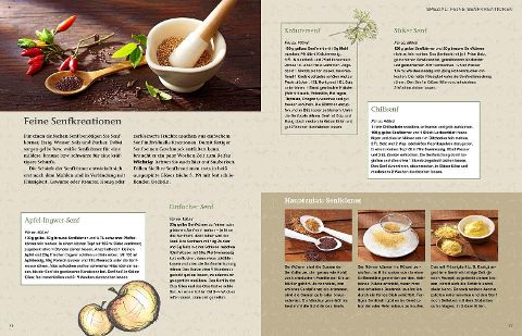 InsideView 5