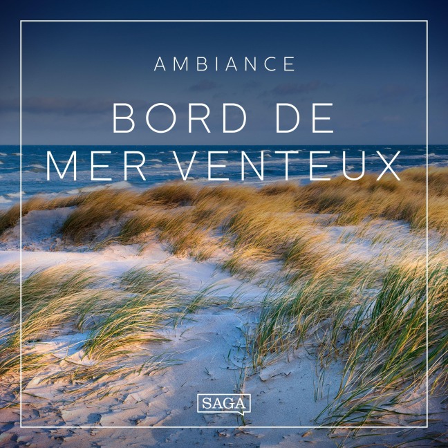 Ambiance - Bord de mer venteux - Rasmus Broe