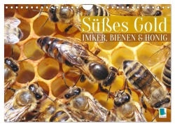 Cover-Bild zum Titel 'Süßes Gold: Imker, Bienen & Honig (Wandkalender 2026 DIN A4 quer), CALVENDO Monatskalender' von 'Calvendo Calvendo'