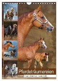 Pferdeträumereien - Traumbilder von Traumpferden (Wandkalender 2024 DIN A4 hoch), CALVENDO Monatskalender - Sigrid Starick