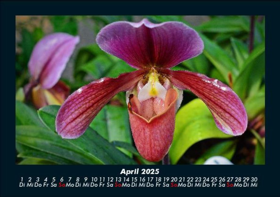 InsideView 8