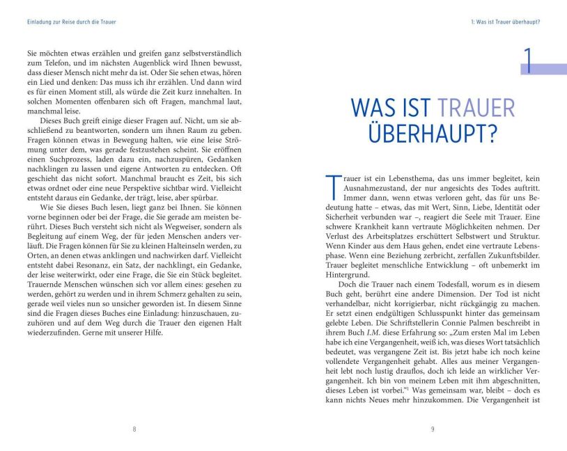 InsideView 6