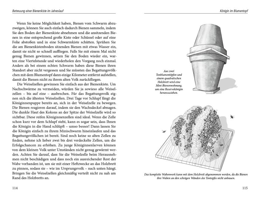 InsideView 5