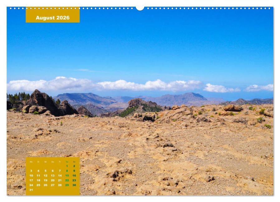 InsideView 12