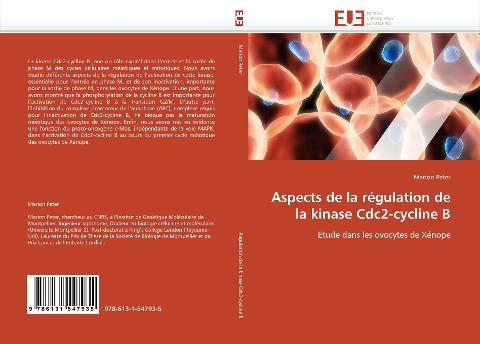 Aspects de la régulation de la kinase Cdc2-cycline B - Marion Peter