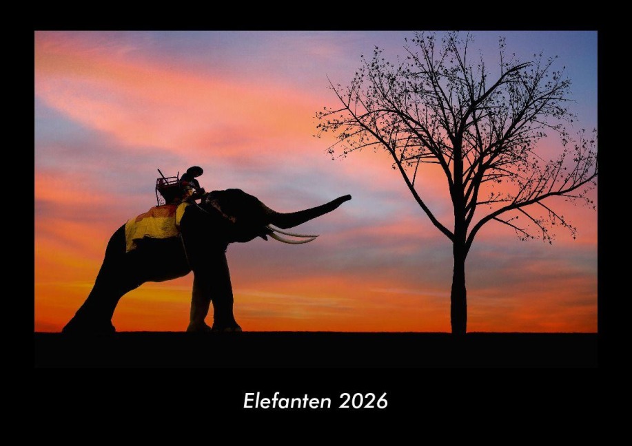 Elefanten 2026 Fotokalender DIN A3 - Tobias Becker