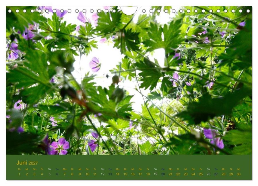 InsideView 11