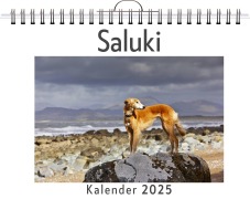 Cover-Bild zum Titel 'Saluki' von 'Zoe Peters'